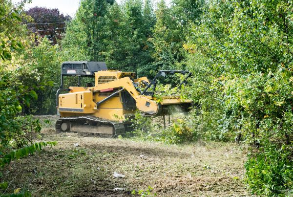 Pathway Clearing in Poulsbo