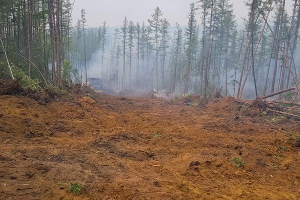 Hill Clearing in Poulsbo