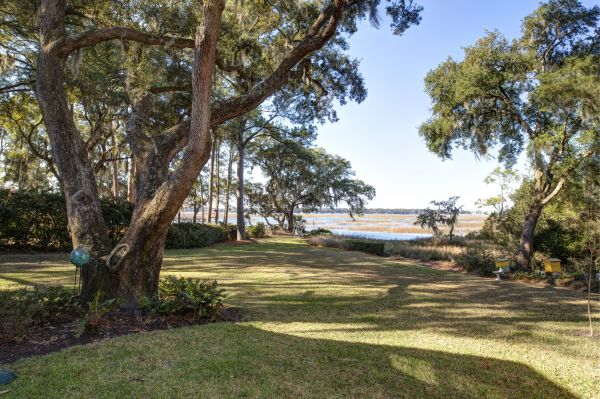 Lakefront Property Clearing in Poulsbo